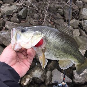 Meet your Posher, Yu